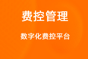 OA標(biāo)準(zhǔn)化協(xié)同辦公——費(fèi)控管理-網(wǎng)站制作