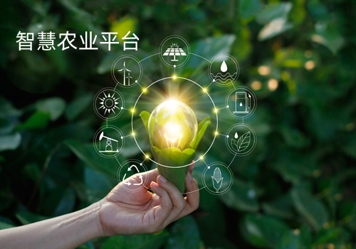 智慧農業(yè)生態(tài)系統(tǒng)
