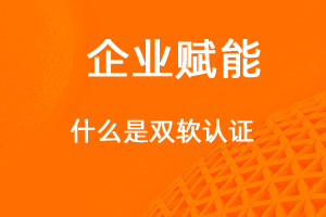 什么是雙軟認(rèn)證？享受那些優(yōu)惠政策-網(wǎng)站制作