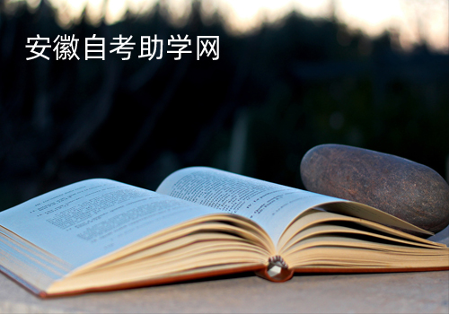 安徽自學助考網站建設