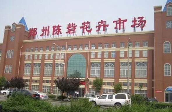 宇淼科技成功簽約鄭州陳砦花卉集團(tuán)有限公司-網(wǎng)站制作