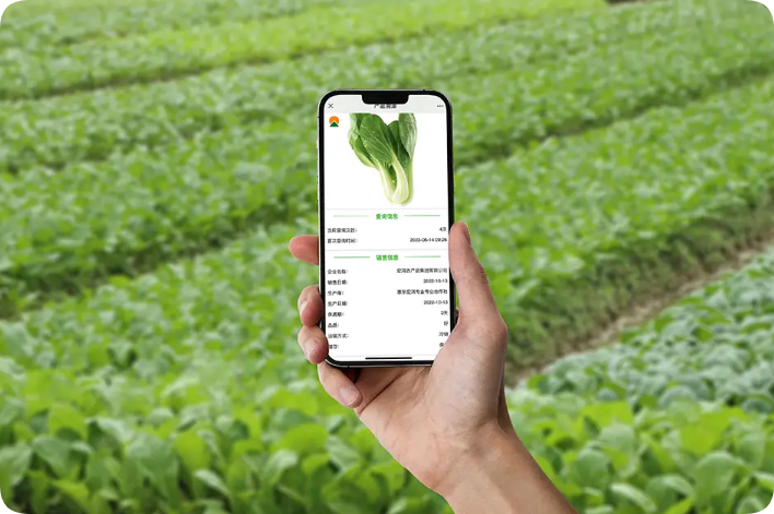 農(nóng)產(chǎn)品溯源知識你了解多少？他的意義究竟是什么？這篇文章告訴你全部答案-網(wǎng)站制作