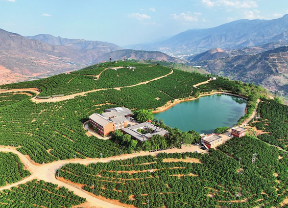 宇淼科技成功簽約云南褚氏農(nóng)業(yè)有限公司-網(wǎng)站制作