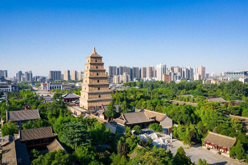 宇淼科技成功簽約陜西省職成教育人才服務(wù)中心-網(wǎng)站制作